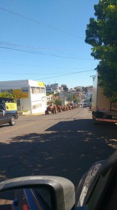 Vice prefeito Gladimir Militz participou da Interiorização da Secretaria estadual da Agricultura