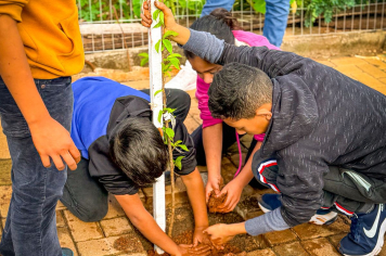 Educação ambiental e arborização urbana nas escolas