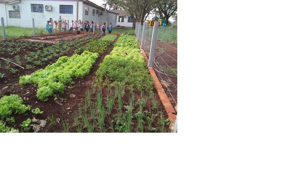 Escola Dr. Waldomiro Rossetto desenvolve projeto da Horta saudável