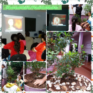 Escola Ulisses Salazar  promove atividades alusivas   a  Semana  do Meio  Ambiente